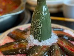-一斗火锅·招财羊毛肚(北温泉九号店)