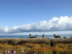 -青海湖国家重点风景名胜区