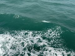 -海安新港(公交站)