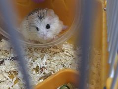 -龙猫仔乐园(惠福东路店)