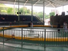 -泉州海丝野生动物世界