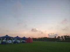 -春花秋色城市公园