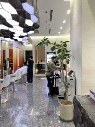 -M1 HAIR烫染