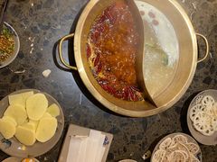 虾饺-小龙坎火锅(黄河店)