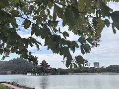 -顺峰山公园