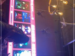 -长藤鬼校(龙翔店)