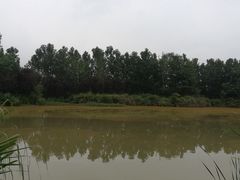 -白鹭湾湿地公园