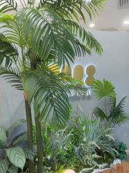 -八佰伴8008星级形象店