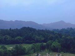 -成都蒲江花样年福朋喜来登度假酒店·宜客乐西餐厅