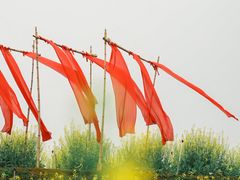 -光明小镇欢乐田园