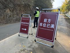 -千年银杏谷文化旅游区