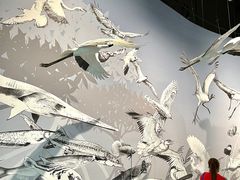 -中国湿地博物馆