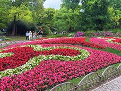 -上海共青森林公园