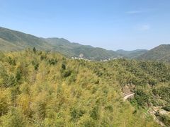 -宁波浙东大竹海景区