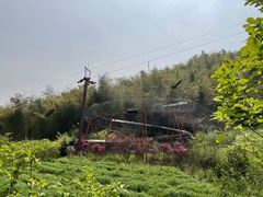 -宁波浙东大竹海景区