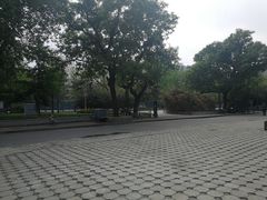 -中央民族大学