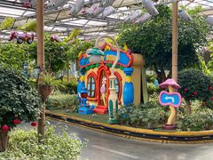 -南宫五洲植物乐园