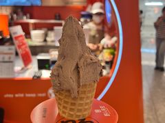 -野人先生现做冰淇淋(北京王府井东方新天地店)