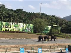 -深圳野生动物园