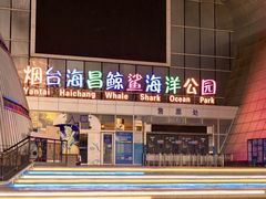 -烟台海昌鲸鲨海洋公园