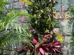 -北京植物园-展览温室