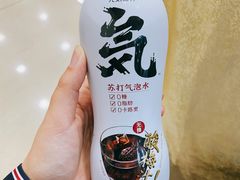 -普天和酒楼·新津菜·烤鸭(天津之眼店)