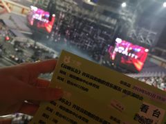 -南京奥林匹克体育中心-体育馆