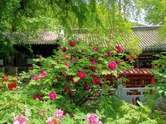 -潭柘寺景区