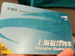 -龙阳路磁悬浮列车总站-停车场