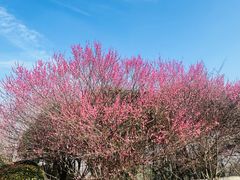 -南京市江宁方山