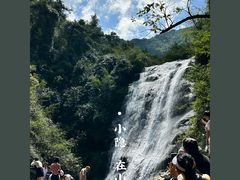 -大奇山国家森林公园