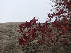 -崂山巨峰游览区