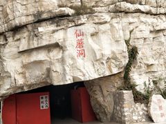 -仙蘑洞