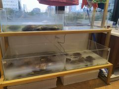 -十八字金银饰·拼豆·开蚌手工体验团建(君太百货店)