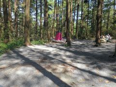 -重庆睡佛山森林公园