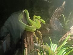 -昆明动物园