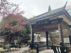 -墨池公园