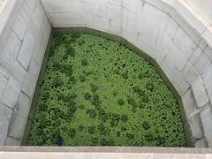 -沧州文庙