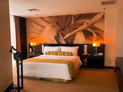 -国家会议中心大酒店