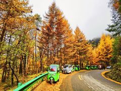-秦岭风景区
