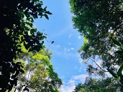 -世间香境·七溪地