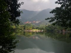 -深圳仙湖植物园