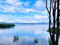 -洱海月湿地公园
