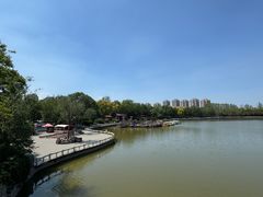-塘沽森林公园