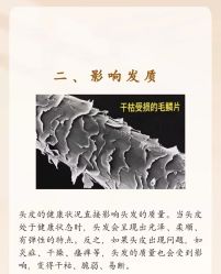 -章光101防脱养发荟