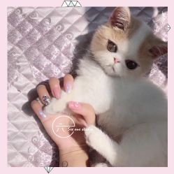 -SixOne六一日式美甲美睫