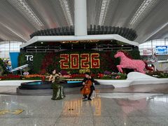 -广州白云国际机场-T2航站楼