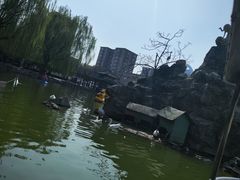 -团结湖公园