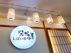 -柴犬小屋·柴餐厅·狗咖食堂(金鼎广场店)