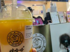 -娃哈哈·奶茶(武林店)